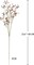10 Pack Baby’s Breath Artificial Flowers Bulk 23.6 Inch Faux Gypsophila Beige Brown Faux Baby Breath Stems – DIY Wedding Bouquet, Home & Event Floral Arrangement Decor